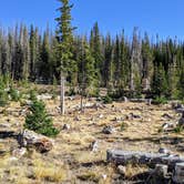 Review photo of Brooklyn Lake Campground by Quinn Z., October 2, 2020