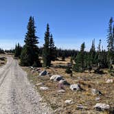 Review photo of Brooklyn Lake Campground by Quinn Z., October 2, 2020