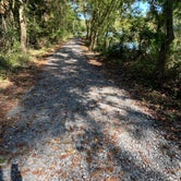 Review photo of LeFleur's Bluff State Park Campground by Courtney B., October 2, 2020