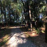 Review photo of Kiptopeke State Park Campground by Katie M., October 2, 2020