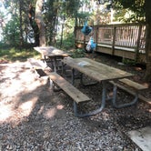 Review photo of Kiptopeke State Park Campground by Katie M., October 2, 2020
