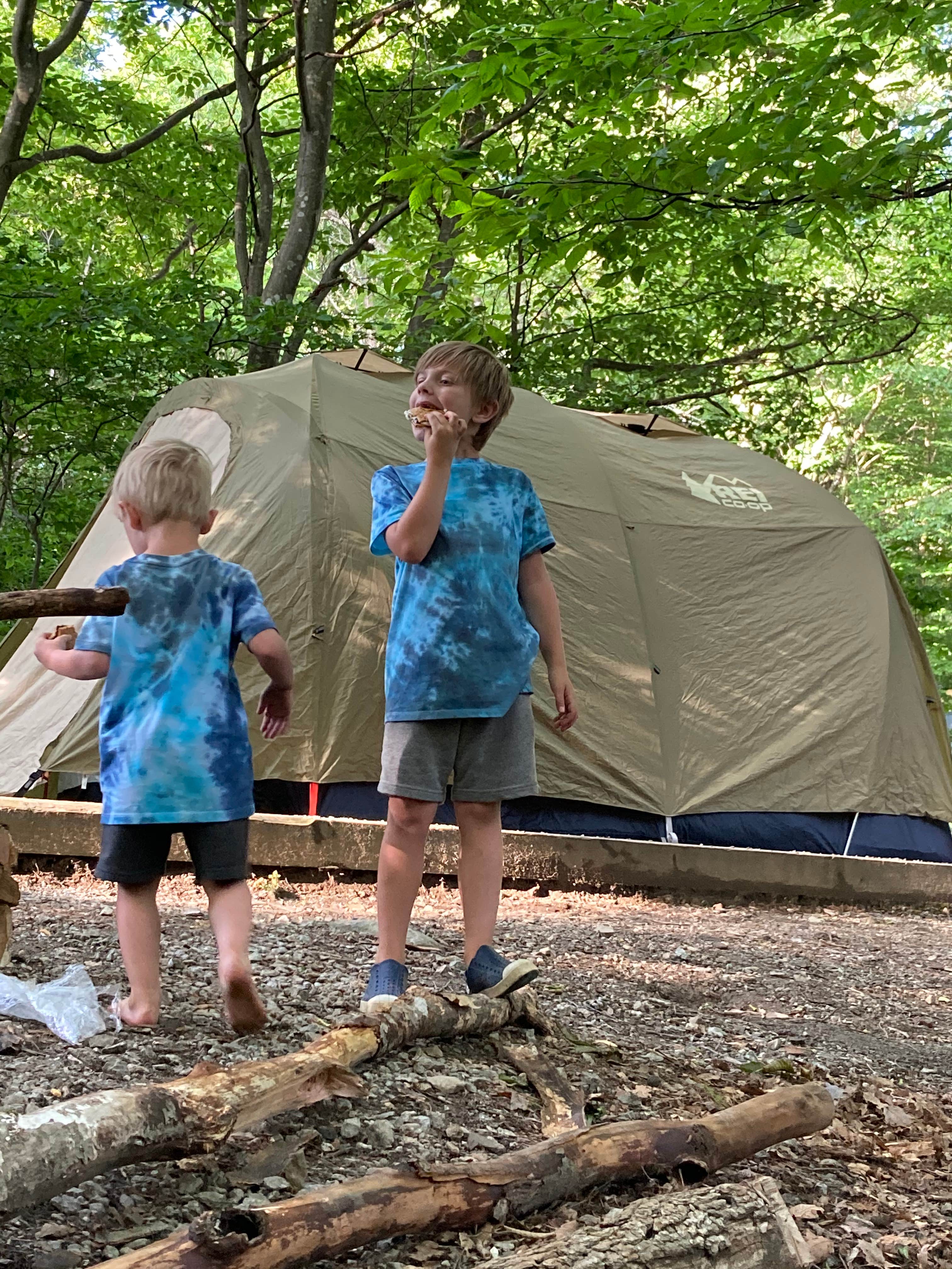 Katie M.'s photo at Hickory Ridge Campground — Grayson Highlands State Park near Mouth of Wilson, VA