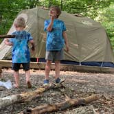 Review photo of Hickory Ridge Campground — Grayson Highlands State Park by Katie M., October 2, 2020