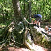 Review photo of Hickory Ridge Campground — Grayson Highlands State Park by Katie M., October 2, 2020