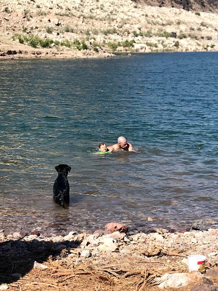 Brittney  C.'s photo of camping with pets at Kingman Wash — Lake Mead National Recreation Area near Lake Mead National Recreation Area
