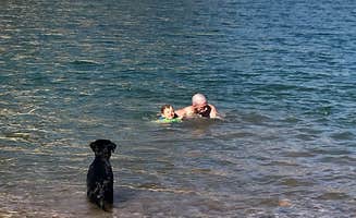 Brittney  C.'s photo of camping with pets at Kingman Wash — Lake Mead National Recreation Area near Willow Beach, AZ