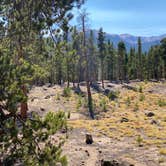 Review photo of Twin Peaks Dispersed Campground- Colorado by Jeff K., October 2, 2020