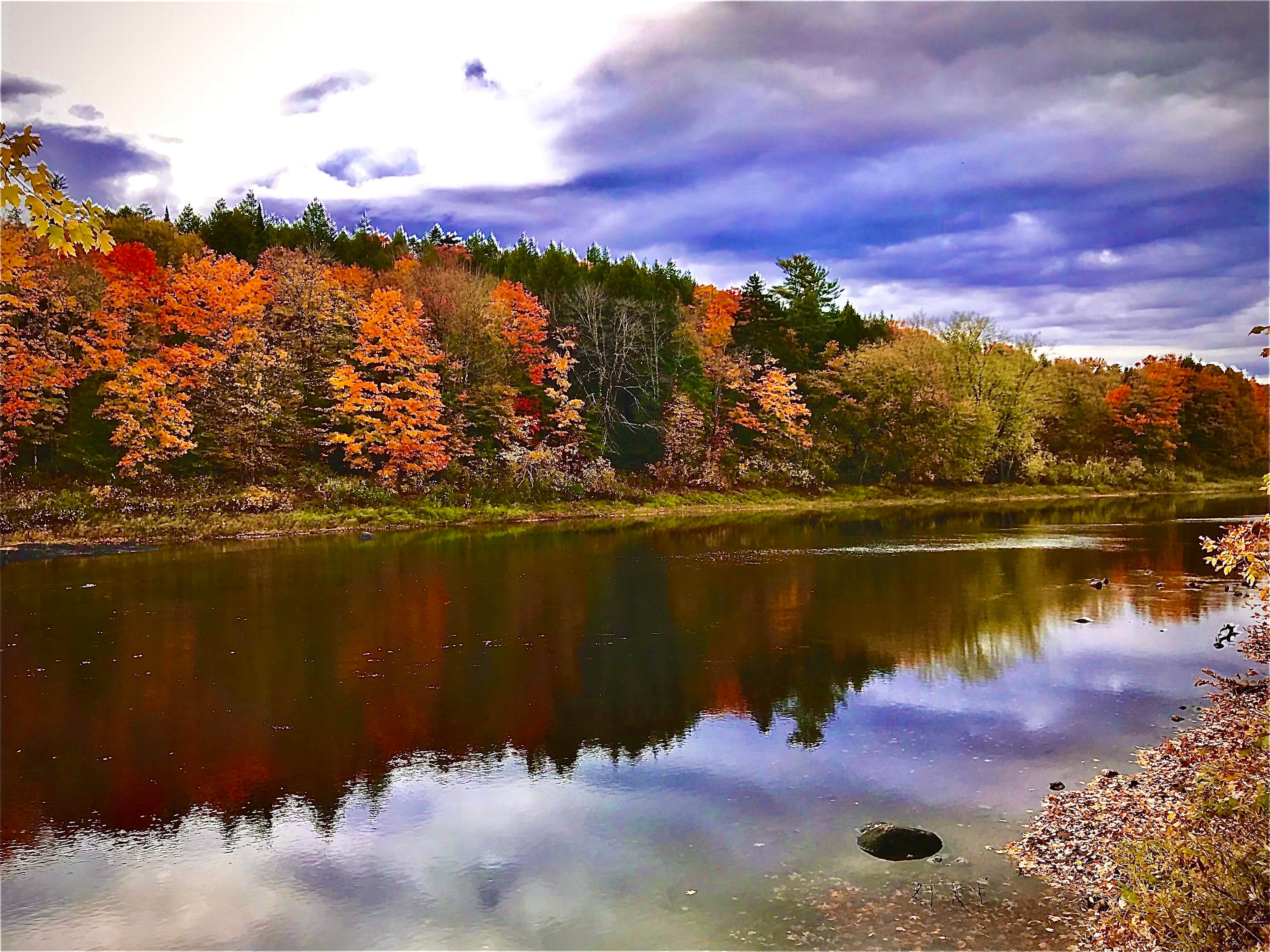 Camper-submitted photo at Pine Grove Campground & Cottages near Medford, ME