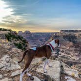 Review photo of Wedge Overlook by Patrick M., October 2, 2020