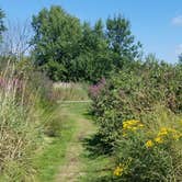 Review photo of Button Bay State Park Campground by M.A.D. P., October 2, 2020