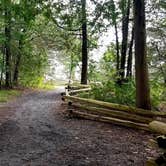 Review photo of Button Bay State Park Campground by M.A.D. P., October 2, 2020