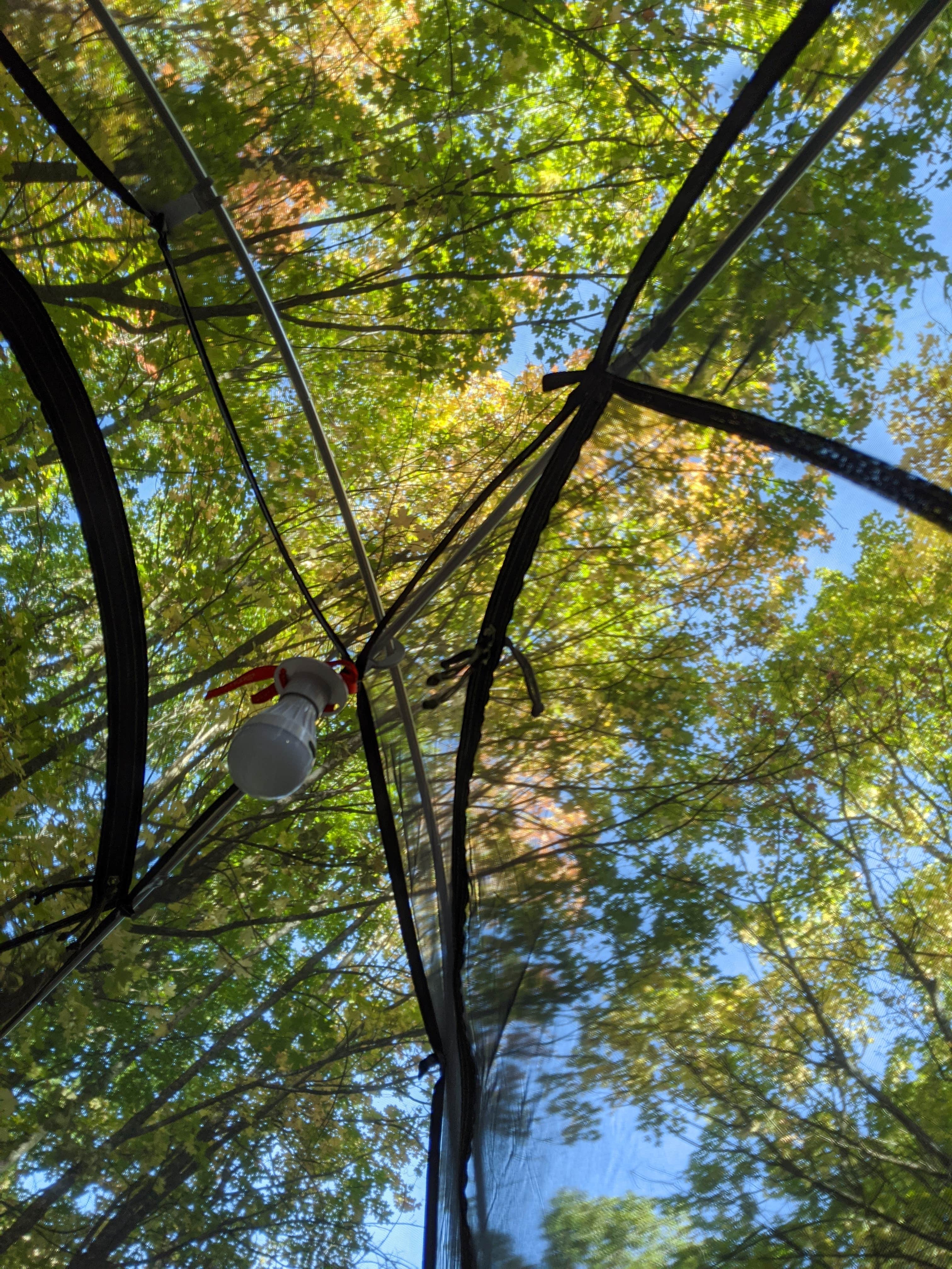 Camper-submitted photo at Cottonwood Campground Slrd — Uinta Wasatch Cache National Forest near Tooele, UT