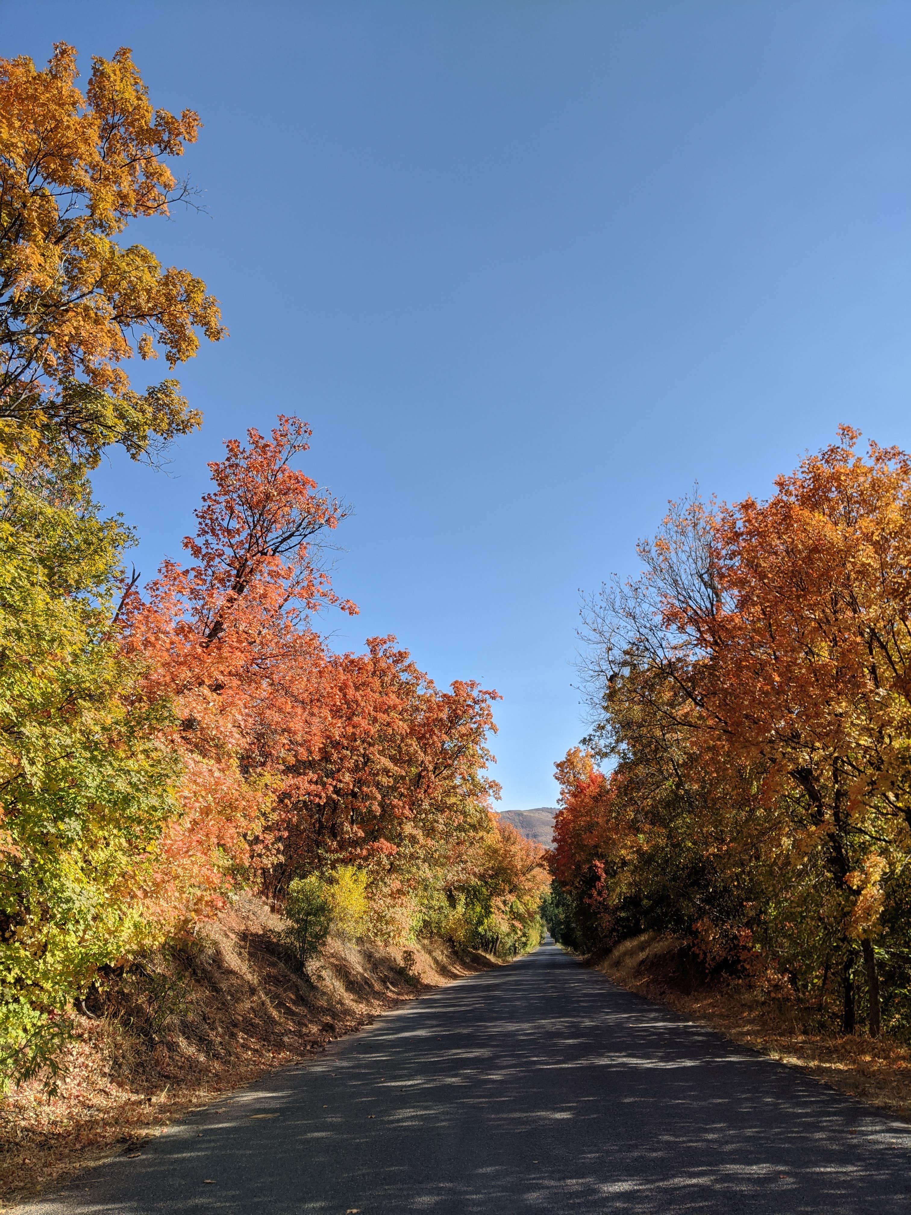 Camper-submitted photo at Cottonwood Campground Slrd — Uinta Wasatch Cache National Forest near Tooele, UT