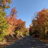 Review photo of Cottonwood Campground Slrd — Uinta Wasatch Cache National Forest by Mariah G., October 2, 2020