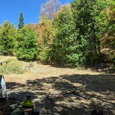 Review photo of Cottonwood Campground Slrd — Uinta Wasatch Cache National Forest by Mariah G., October 2, 2020