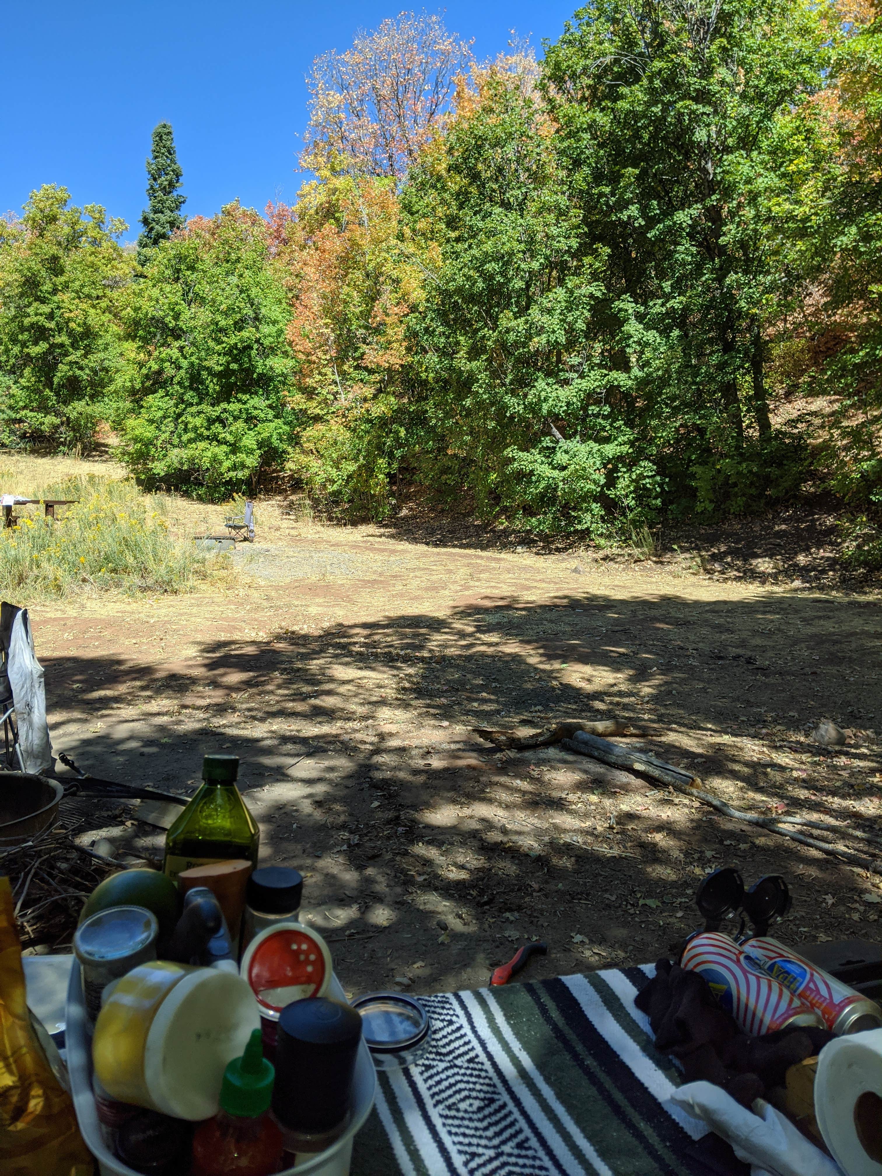 Camper submitted image from Cottonwood Campground Slrd — Uinta Wasatch Cache National Forest - 1