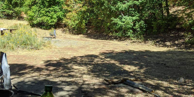 Camper submitted image from Cottonwood Campground Slrd — Uinta Wasatch Cache National Forest