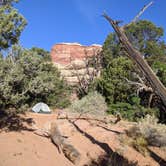 Review photo of The Needles Campground — Canyonlands National Park by Mariah G., October 2, 2020