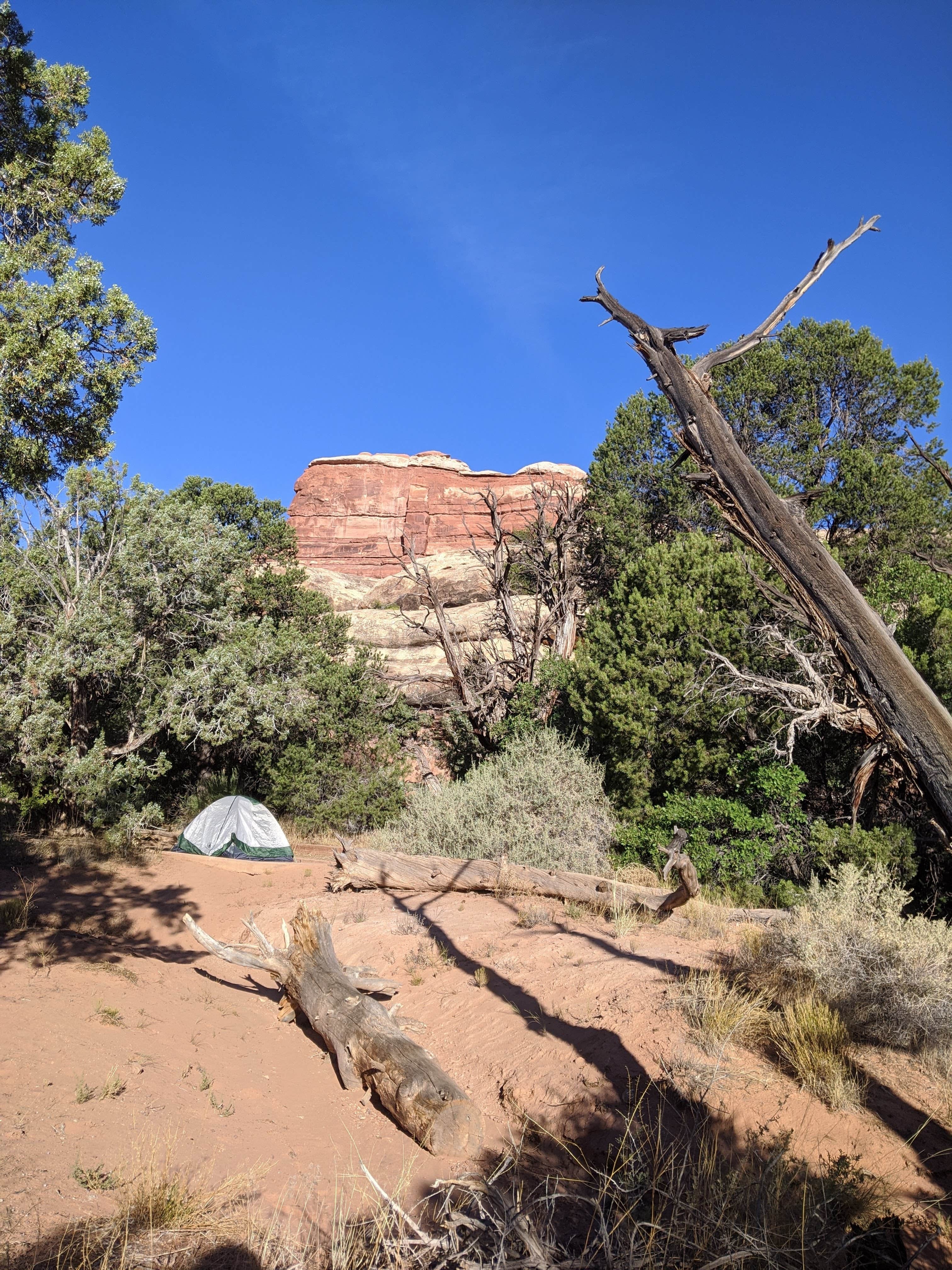 Camper submitted image from The Needles Campground — Canyonlands National Park - 2