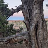 Review photo of The Needles Campground — Canyonlands National Park by Mariah G., October 2, 2020