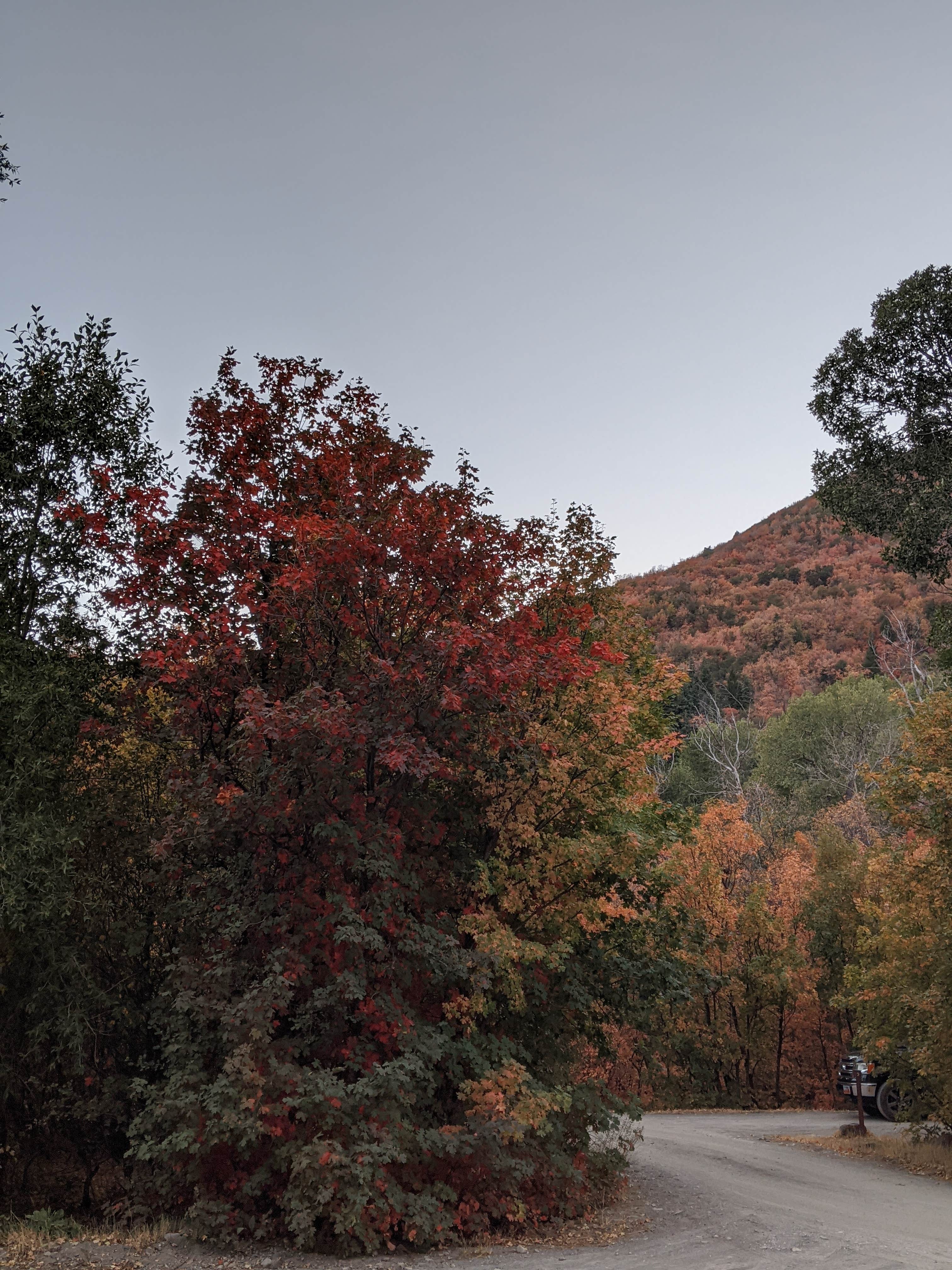 Camper-submitted photo at Ponderosa Uinta near Nephi, UT