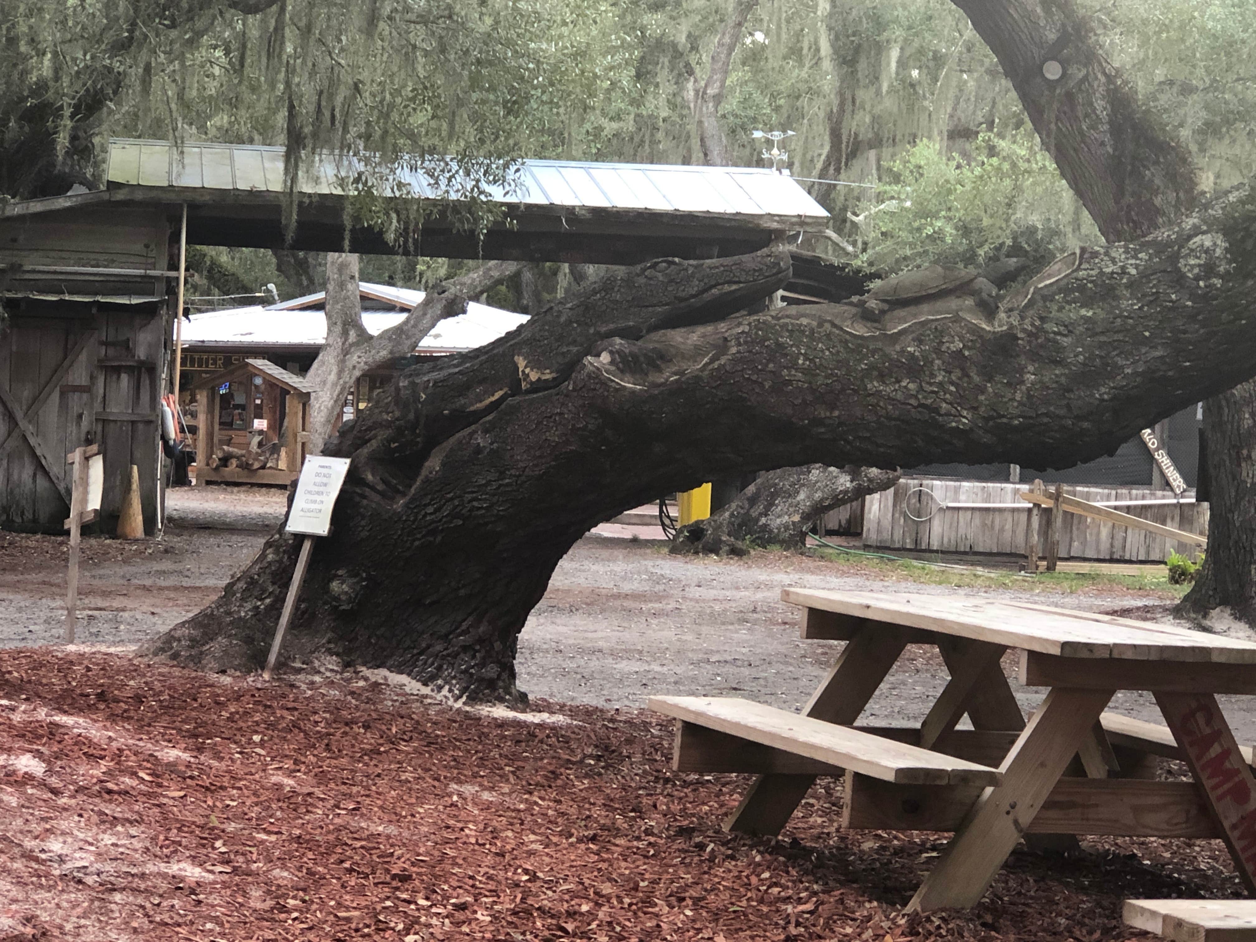 Guy harvey 2025 campground tarpon springs