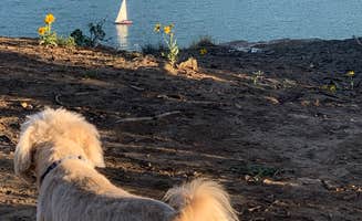 Allison B.'s photo of camping with pets at Carpios Ridge Campground — Trinidad Lake State Park near Capulin, NM