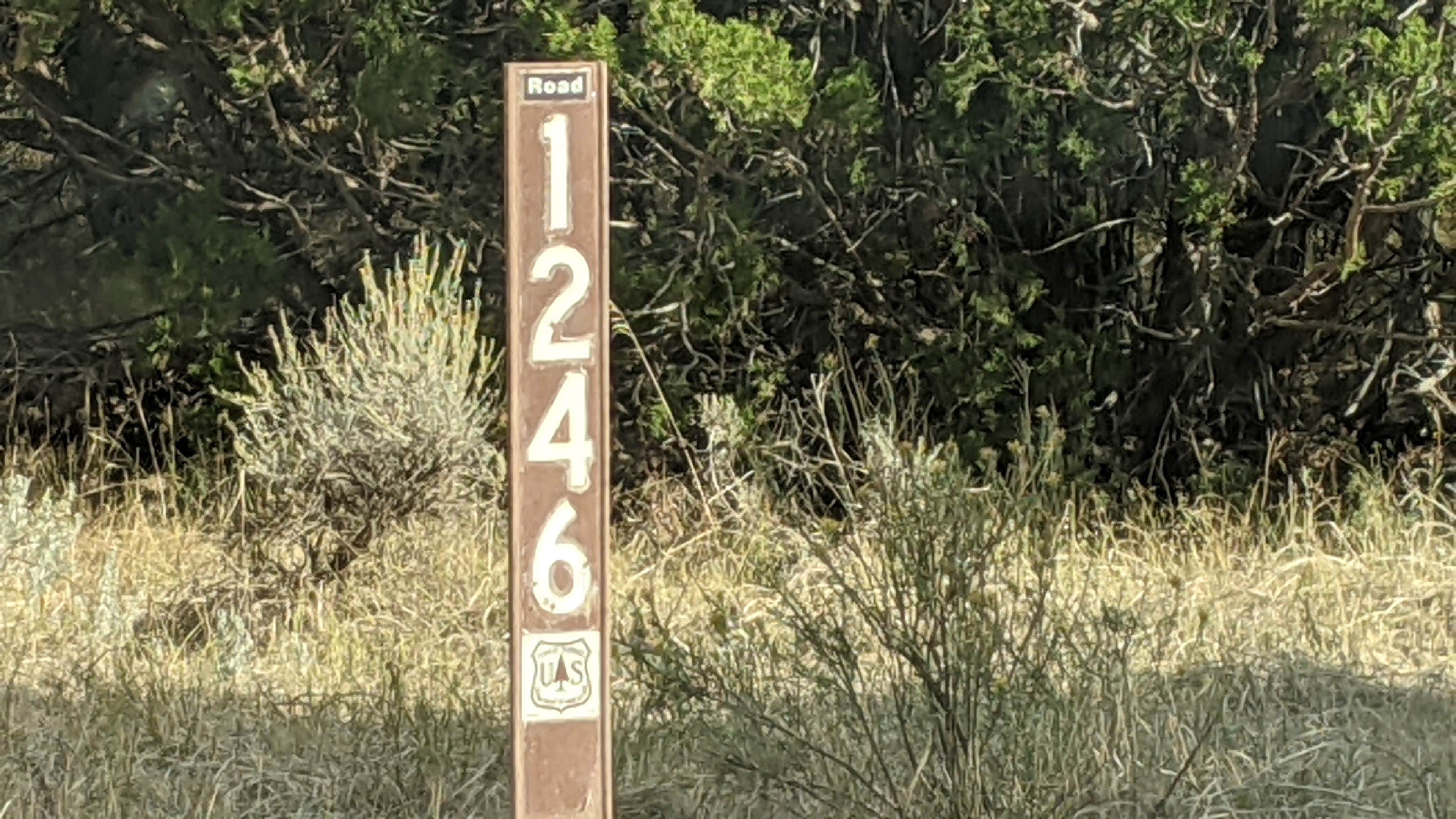 Camper-submitted photo at BLM Weston Hills near Gillette, WY