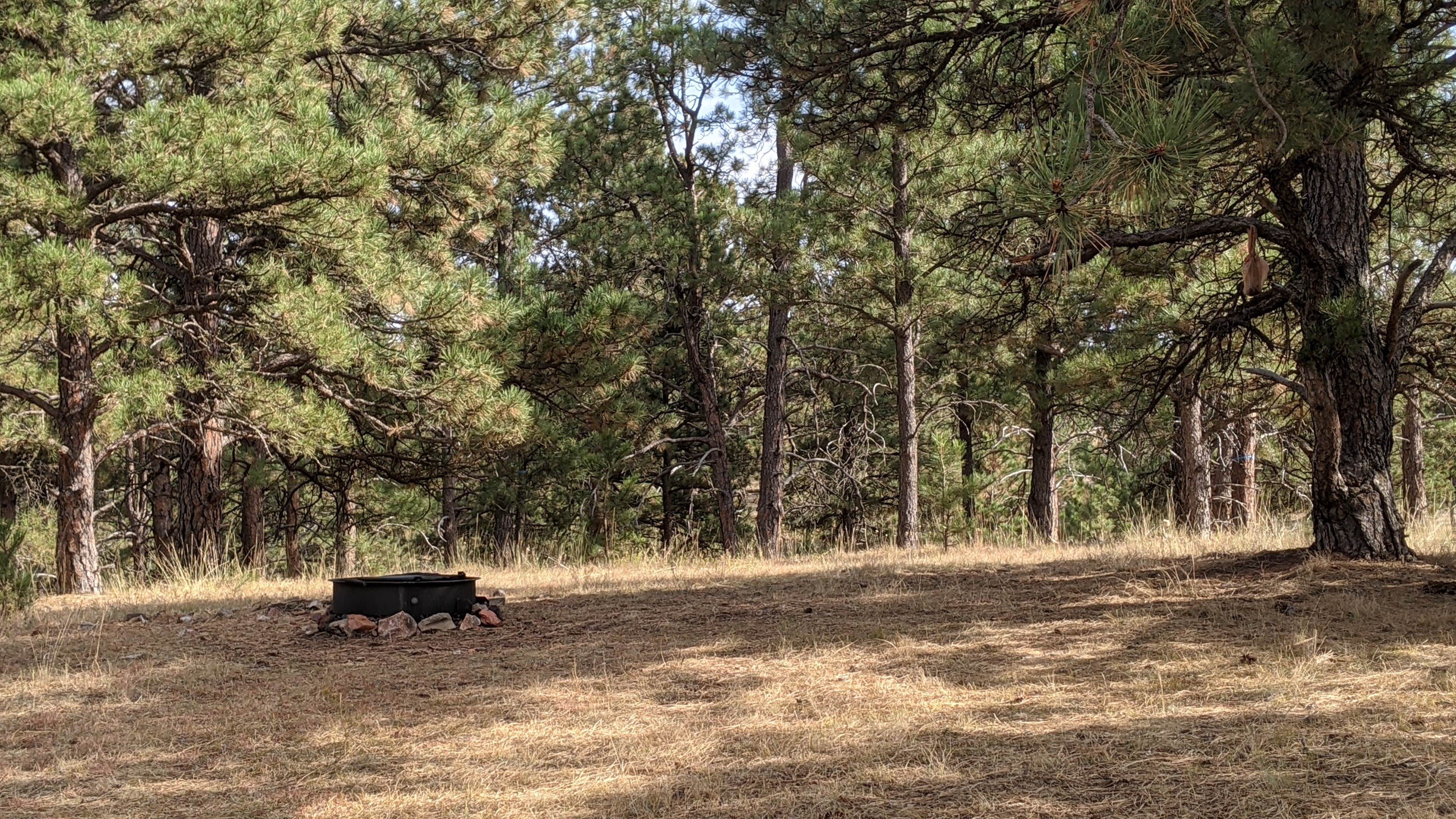 Camper-submitted photo at BLM Weston Hills near Gillette, WY
