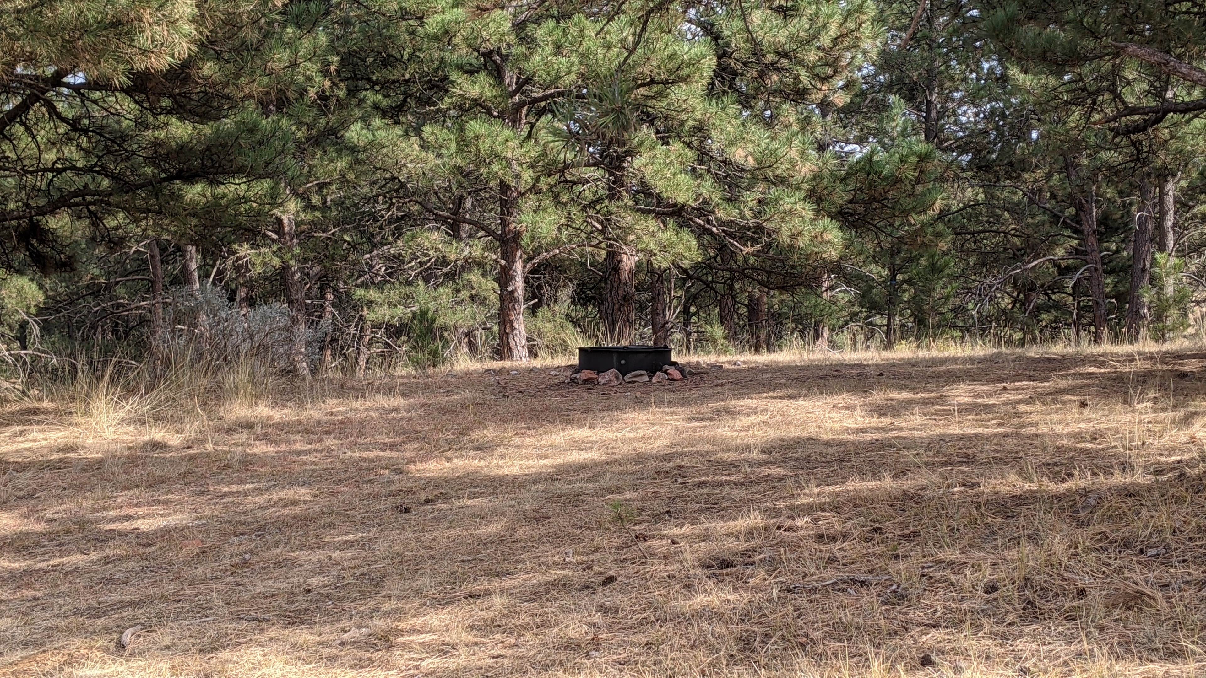 Camper-submitted photo at BLM Weston Hills near Gillette, WY