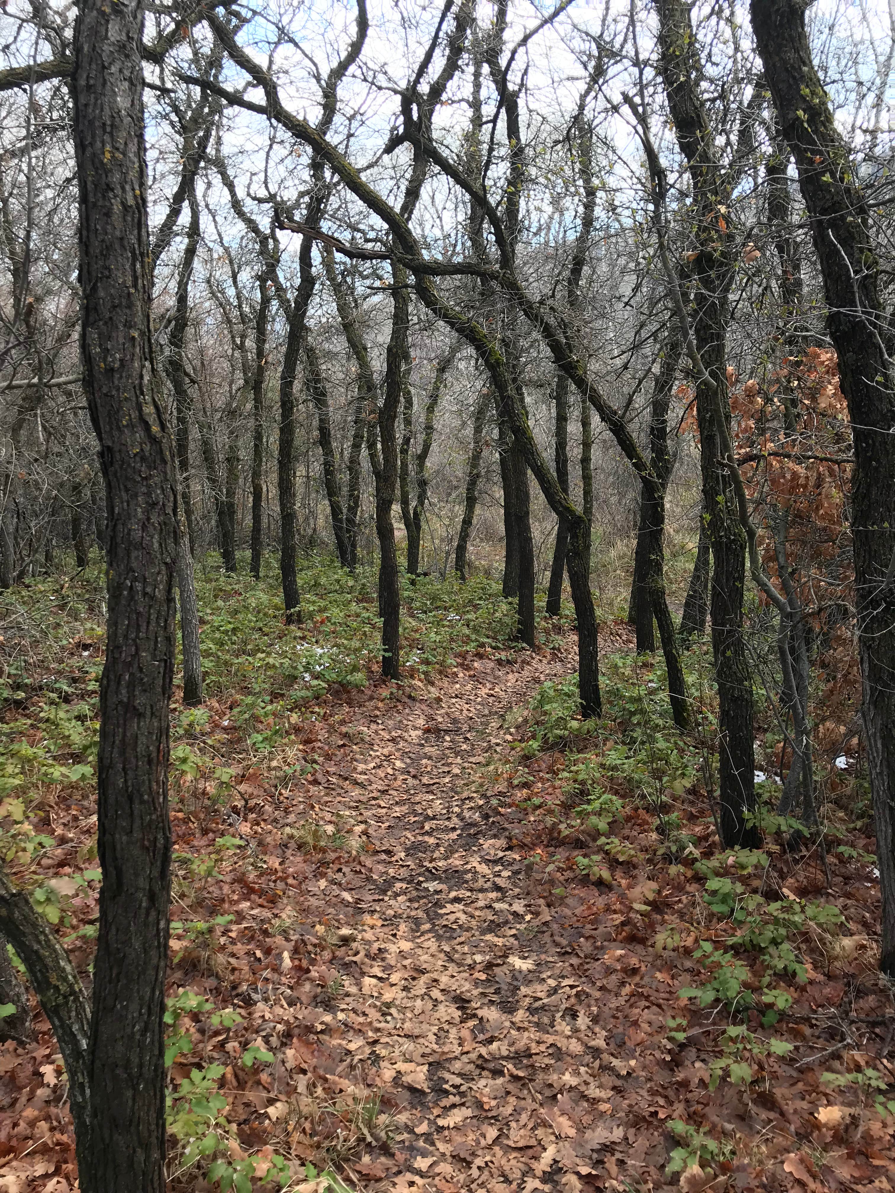 Camper-submitted photo at Rifle Falls State Park Campground near Rifle, CO