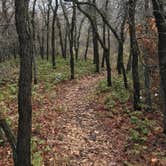 Review photo of Rifle Falls State Park Campground by Trevon B., May 19, 2018