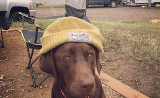 Curtis G.'s photo of camping with pets at Pinewood Reservoir Campground near Longmont, CO