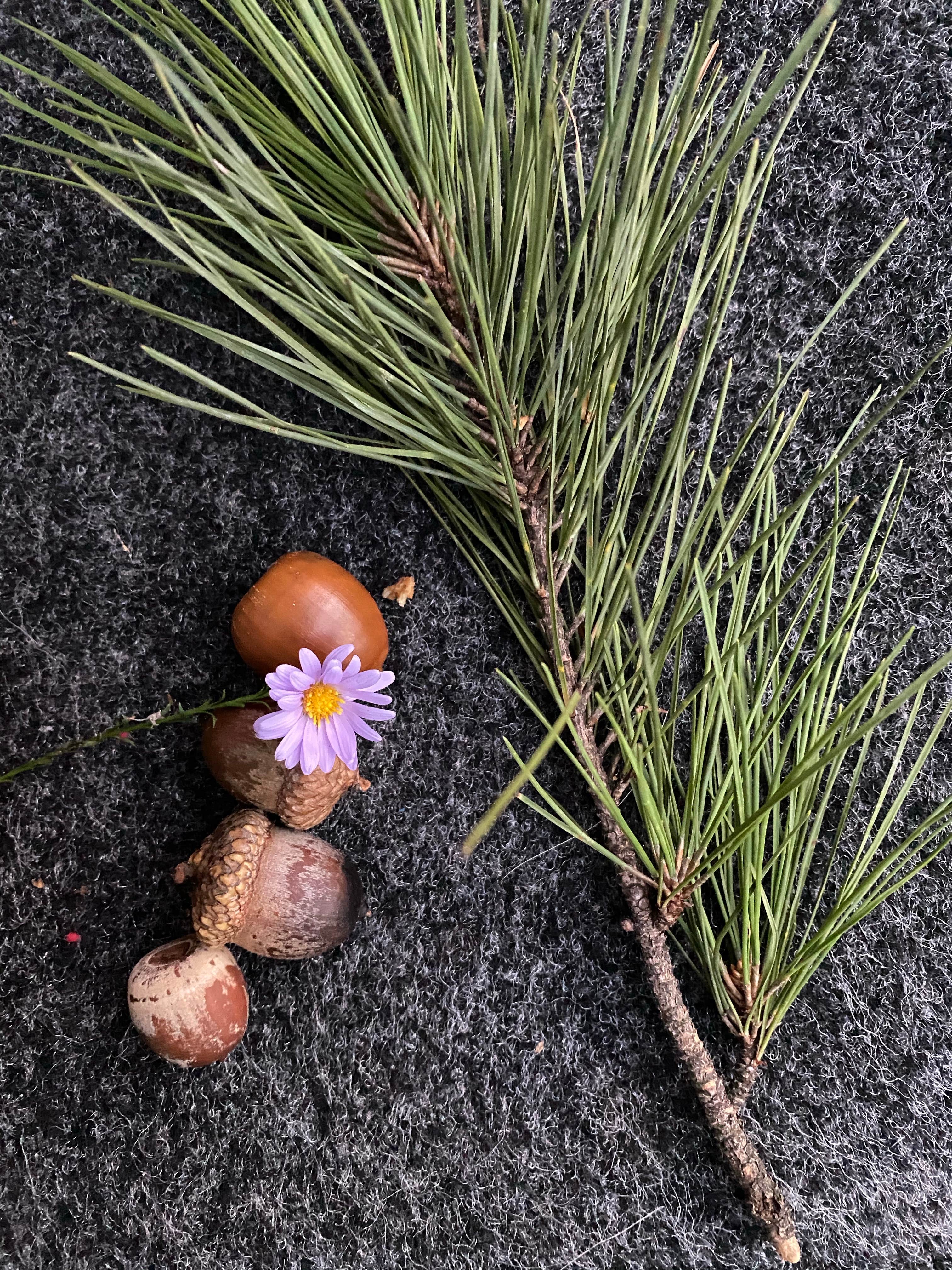 Camper-submitted photo at Winding Stair Campground (Ok) — Ouachita National Forest near Hartford, AR