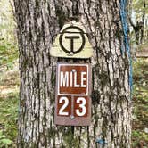 Review photo of Winding Stair Campground (Ok) — Ouachita National Forest by ShaneB , October 3, 2020