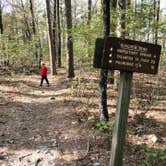 Review photo of Winding Stair Campground (Ok) — Ouachita National Forest by ShaneB , October 3, 2020