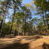 Review photo of Winding Stair Campground by ShaneB , October 3, 2020