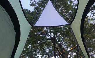 ShaneB's photo at Winding Stair Campground (Ok) — Ouachita National Forest near Midland, AR