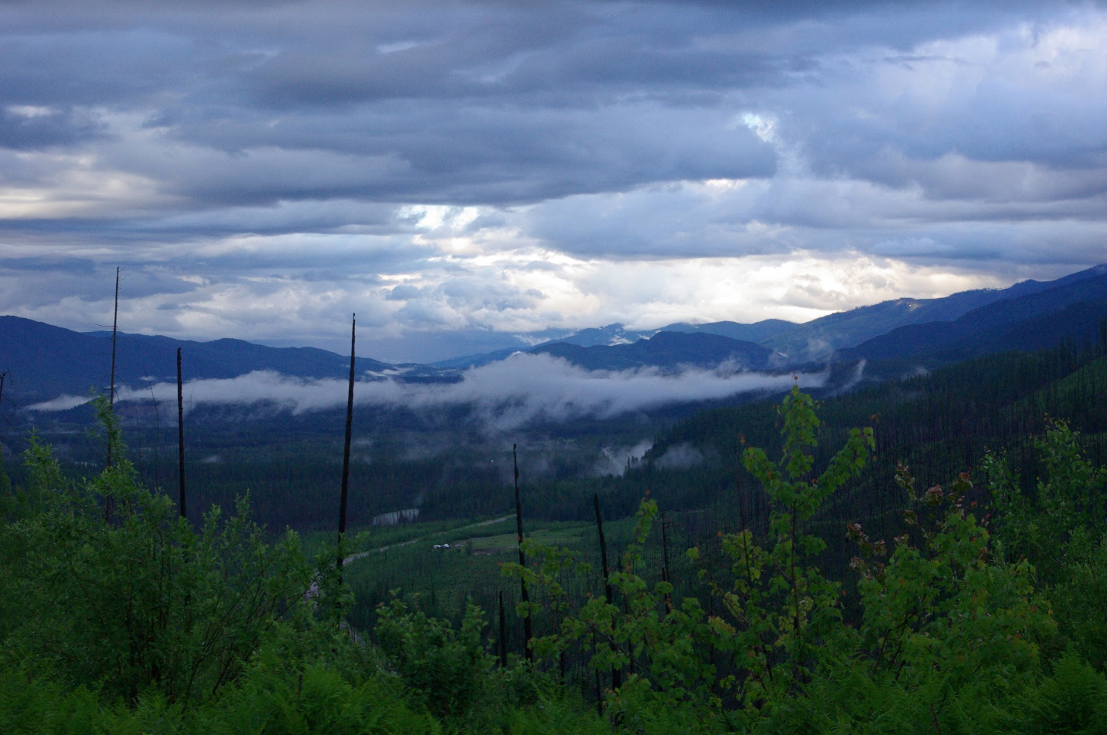 Anna B.'s photo of a dispersed camping area at McGinnis Creek in Montana