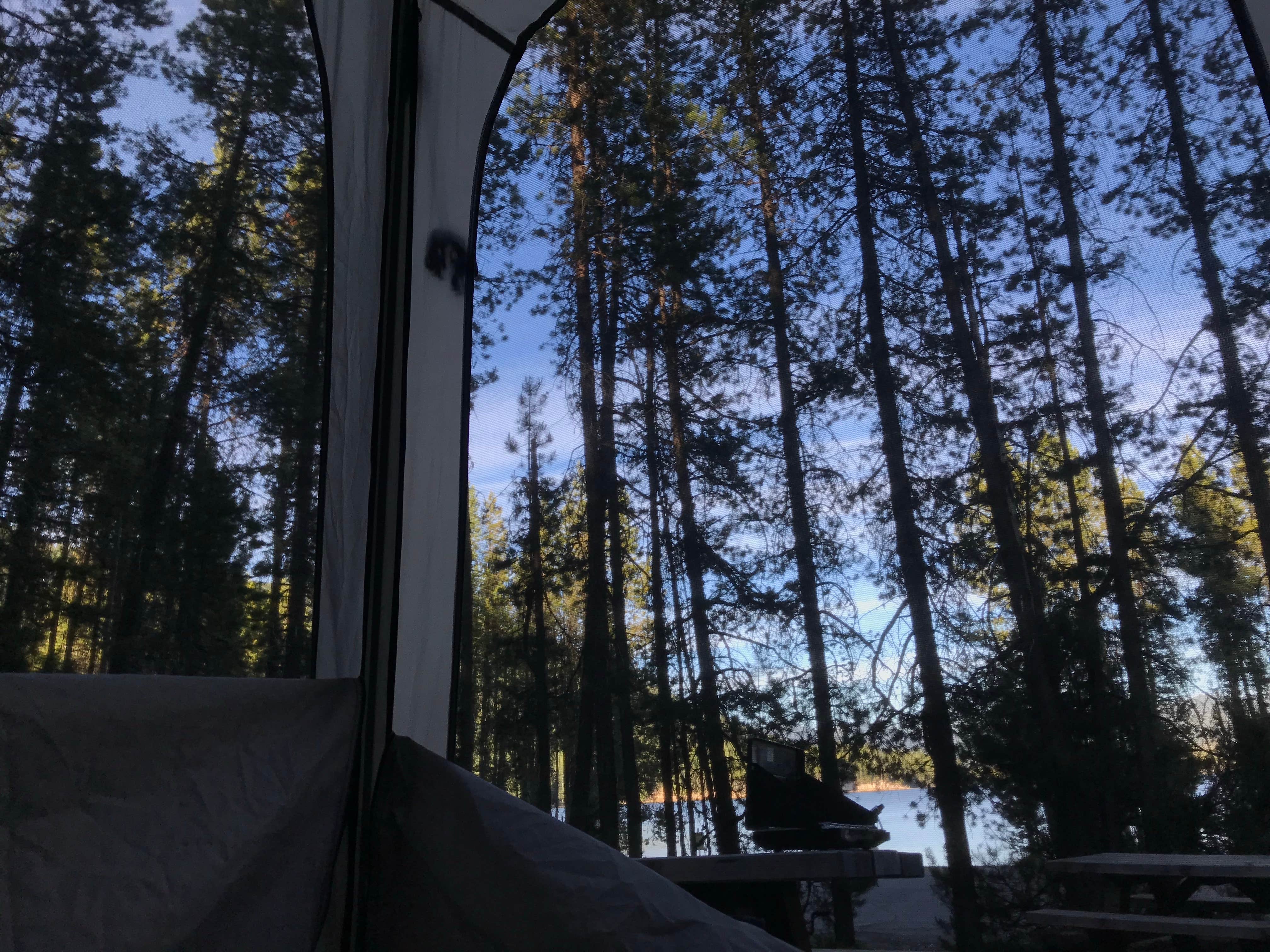 Jimmy B.'s photo at Poole Creek near Umpqua National Forest