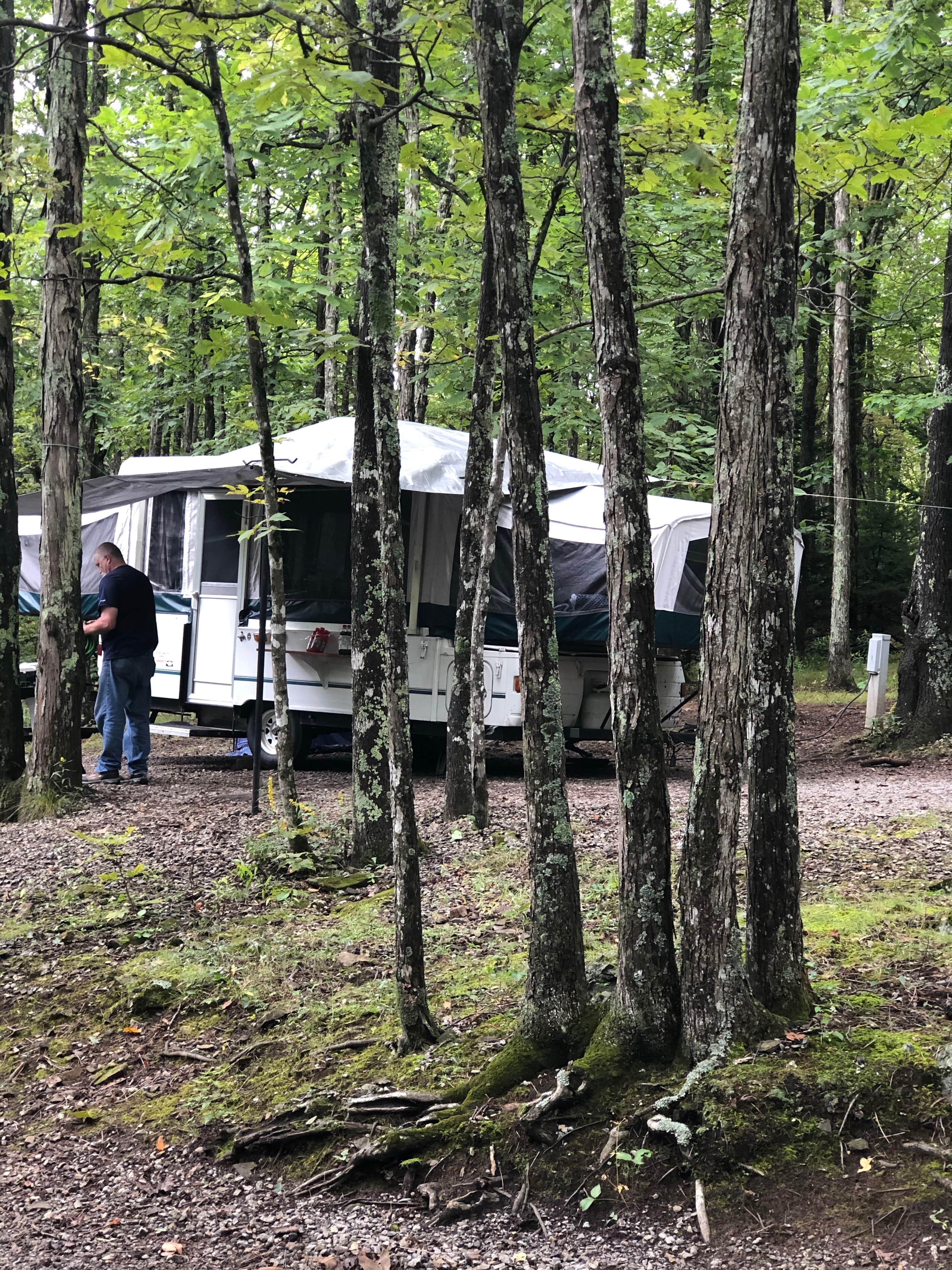 Denise's photo at Hickory Ridge Campground — Grayson Highlands State Park near Scottville, NC