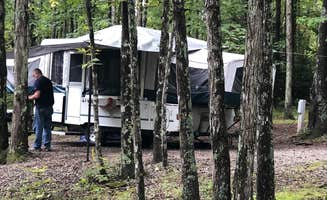 Denise's photo at Hickory Ridge Campground — Grayson Highlands State Park near Sugar Grove, VA