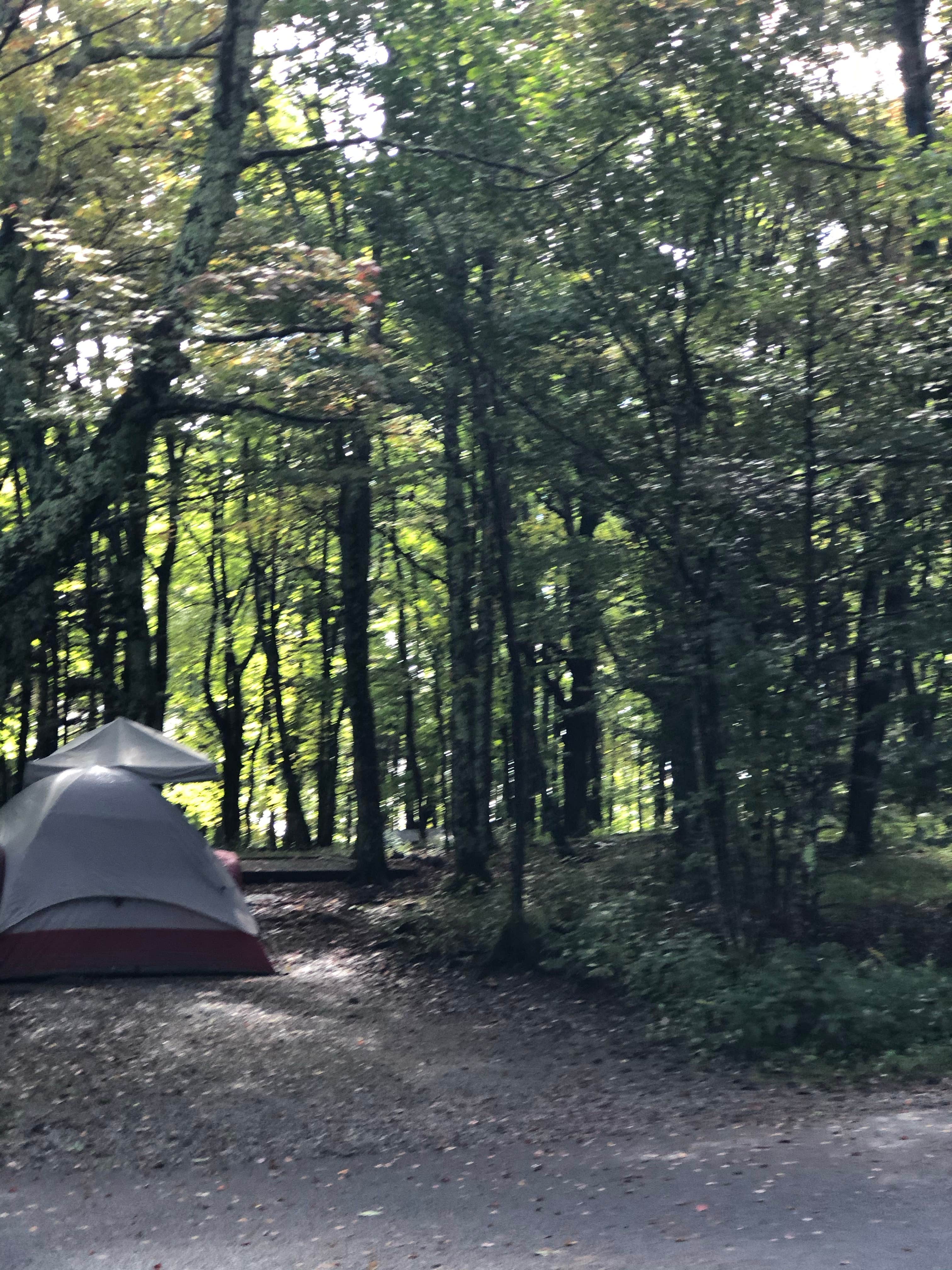 Denise's photo at Hickory Ridge Campground — Grayson Highlands State Park near Crumpler, NC