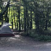 Review photo of Hickory Ridge Campground — Grayson Highlands State Park by Denise , October 3, 2020