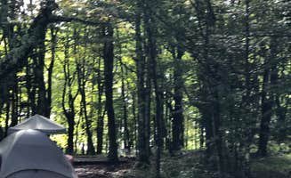 Denise's photo at Hickory Ridge Campground — Grayson Highlands State Park near Crumpler, NC