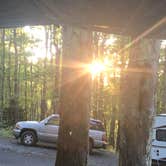 Review photo of Hickory Ridge Campground — Grayson Highlands State Park by Denise , October 3, 2020