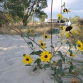 Review photo of No Name Bay - Lake McConaughy by Heather C., October 3, 2020