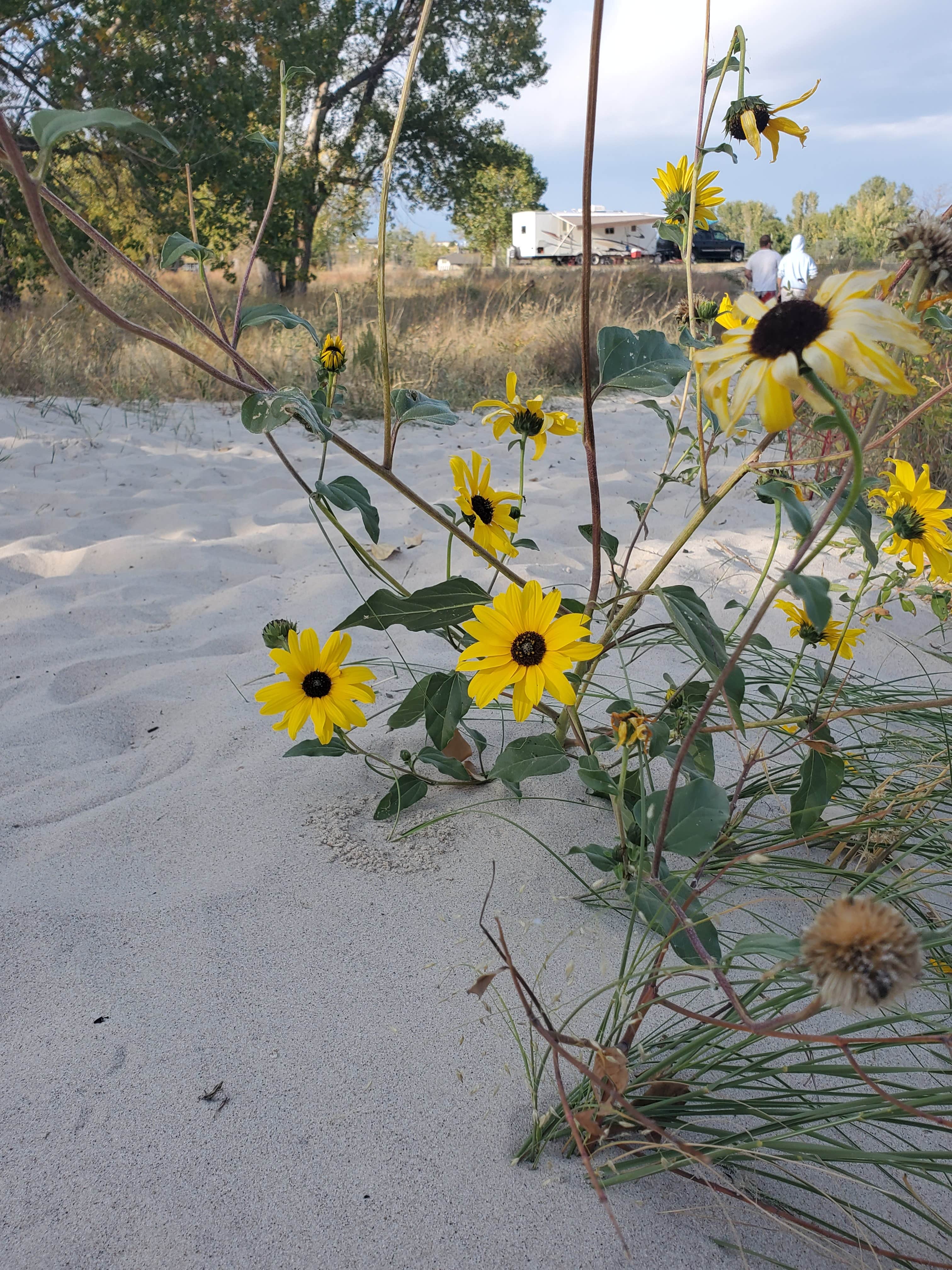 Camper submitted image from No Name Bay - Lake McConaughy - 5