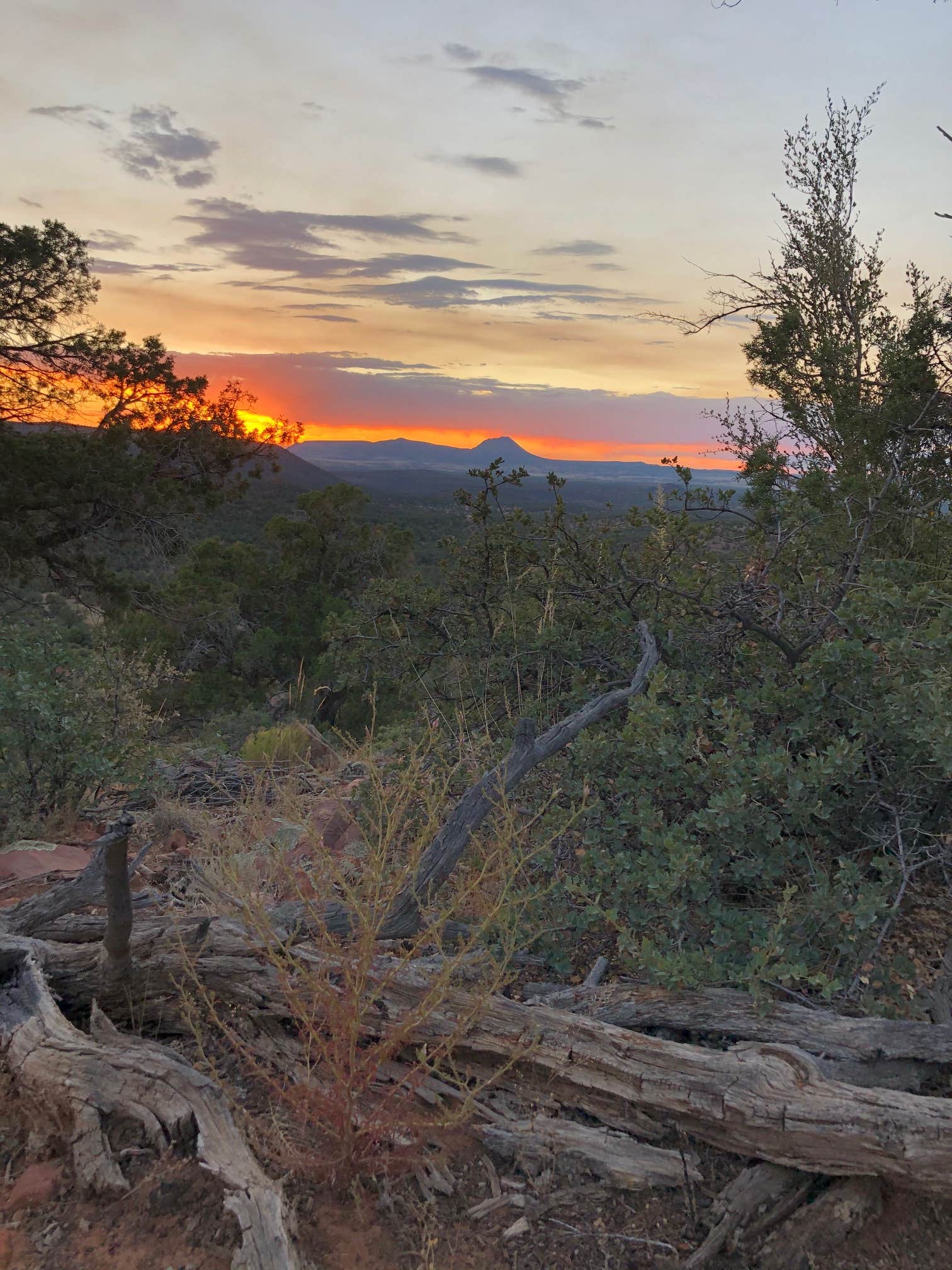 Camper submitted image from Haak'u Cuervo Canyon Overlook - 2