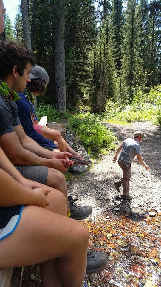 Camper submitted image from Monture Creek - 2